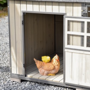 Chickencoop Danielle has a large sleeping compartment