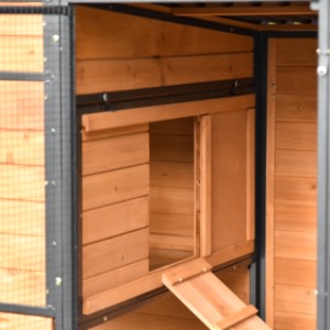 Chickencoop Judy is provided with a sliding door