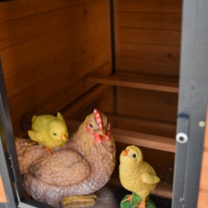 Chickencoop Judy is suitable for 4 till 9 chickens