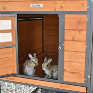 Rabbit hutch Judy is suitable for 3 till 5 rabbits