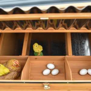 Nesting box Judy - an extension for your Chicken Coop Judy