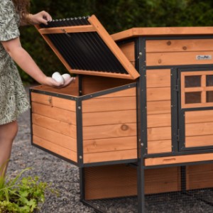 Nesting box Judy - an extension for your Chicken Coop Judy