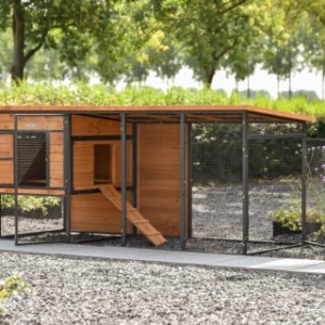 Chickencoop Judy is provided with many doors