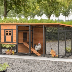 Chickencoop Judy · Brown · 232x100x105cm