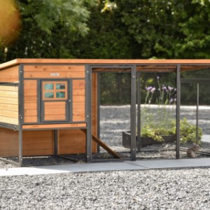 Rabbit hutch Judy is an acquisition for your yard
