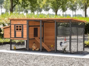 Chickencoop Judy · Brown · 264x100x105cm