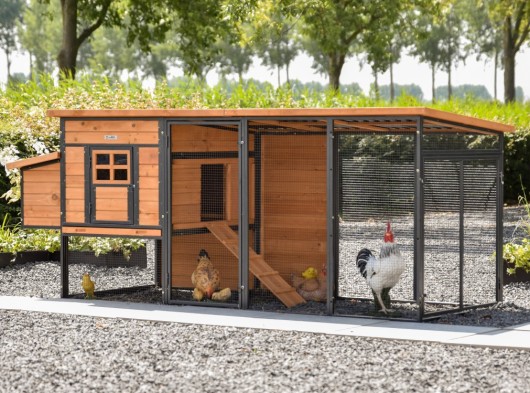 Chickencoop Judy · Brown · 264x100x105cm