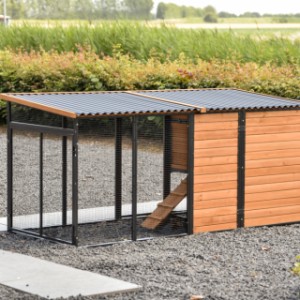 Have a look on the backside of rabbit hutch Judy