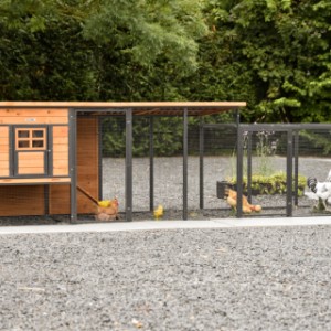 Chickencoop Judy is extended with a laying nest and an additional run