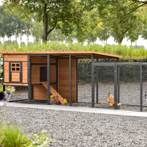Chickencoop Judy with run · Brown · 379x100x105cm