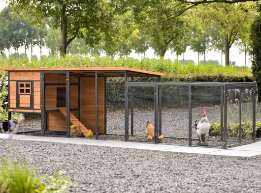 Chickencoop Judy with run · Brown · 379x100x105cm