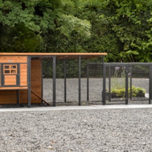 Rabbit hutch Judy is extended with an additional run
