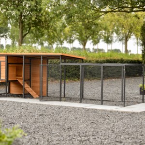 Rabbit hutch Judy has large doors