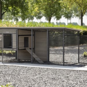 Rabbit hutch Judy has many doors