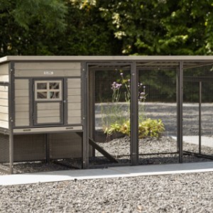 Rabbit hutch Judy is an acquistition for your yard