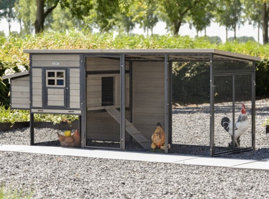 Chickencoop Judy · Grey · 264x100x105cm