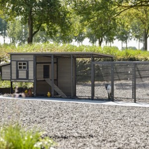 Chickencoop Judy with laying nest and additional run · Grey · 416x100x105cm