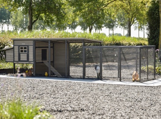 Chickencoop Judy with laying nest and additional run · Grey · 416x100x105cm