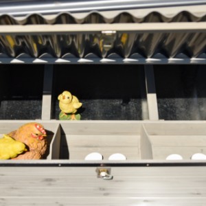 Nesting box Judy - an extension for your Chicken Coop Judy