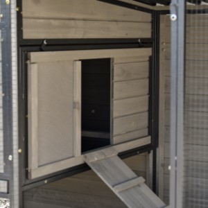 Chickencoop Judy | with a sliding hatch from the left to te right