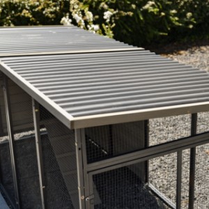 Chickencoop Judy is provided with a plastic roof