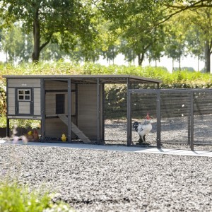 Chickencoop Judy with additional run · Grey · 379x100x105cm