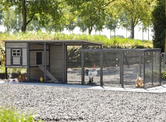 Chickencoop Judy with additional run · Grey · 379x100x105cm