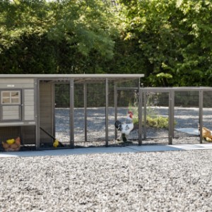Chickencoop Judy with extra run offers a lot of space for the chickens