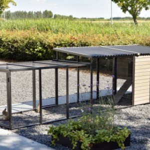 Have a look on the backside of rabbit hutch Judy