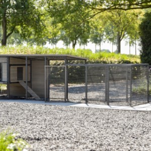 Rabbit hutch Judy has large doors