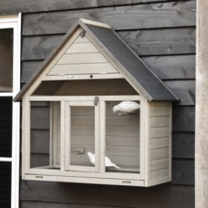 Wall aviary Matty Large is an acquisition for your yard