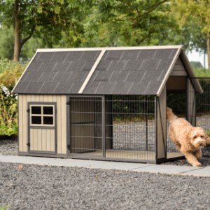 Dog house Danielle is an acquisition for your yard