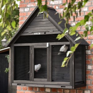 The wall aviary Matty Large is an acquisition for your yard