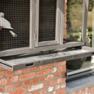 Wall aviary Matty Large is equipped with a metal sliding tray
