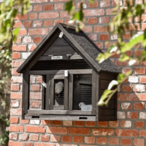 The wall aviary Matty Small is an acquisition for your yard