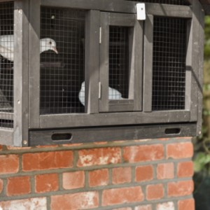 Wall aviary Matty Small has a wire mesh floor above the sliding tray.
