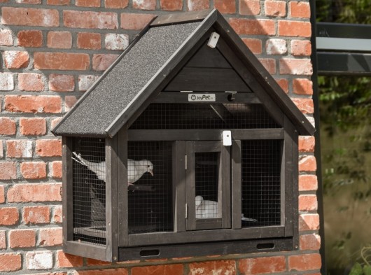 Wall aviary Matty Small · 67x34x67cm