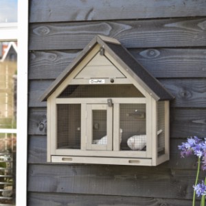 Wall aviary Matty Small provides a comfortable space for your birds