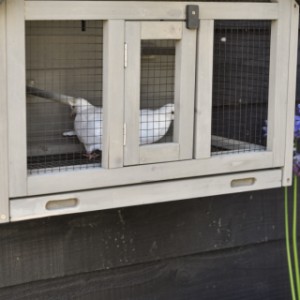 Wall aviary Matty Small is provided with a metal tray