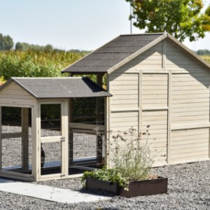 The chickencoop Holiday Large has a fully wooden backside