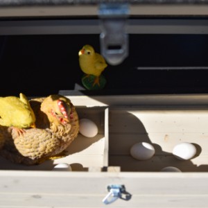 The laying nest of chickencoop Holiday Large is divided in 2 parts