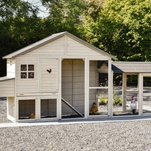 Chickencoop Holiday Large with run and laying nest 388x93x195cm