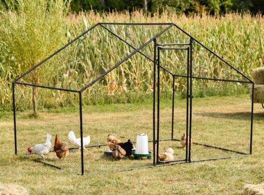 Chicken Run Grande 300x200x200 cm