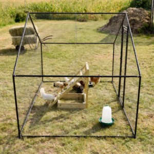 Your chickens have complete freedom of movement in the Chicken Run Grande.