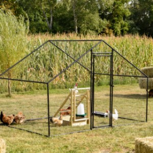 The Chicken Run Grande gives 4–12 chickens a wonderfully spacious place.
