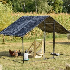 Chicken Run Grande 300x200x200 cm