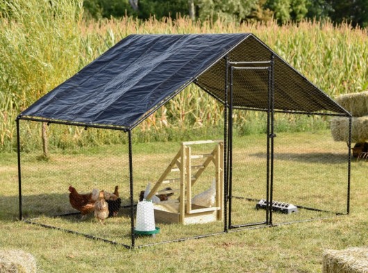 Chicken Run Grande 300x200x200 cm