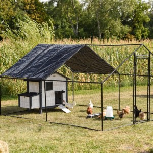 Chicken Run Grande 300x400x200 cm