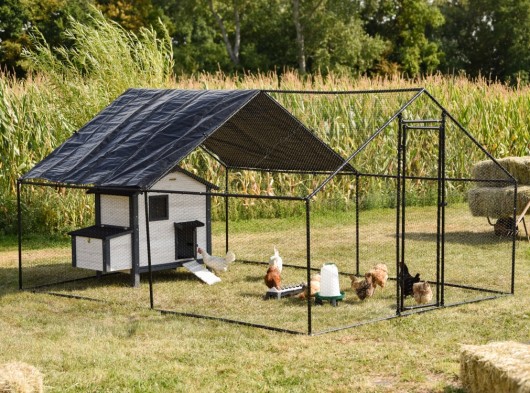 Chicken Run Grande 300x400x200 cm