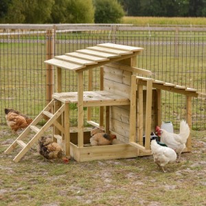 Chicken play center 167x192x111 cm